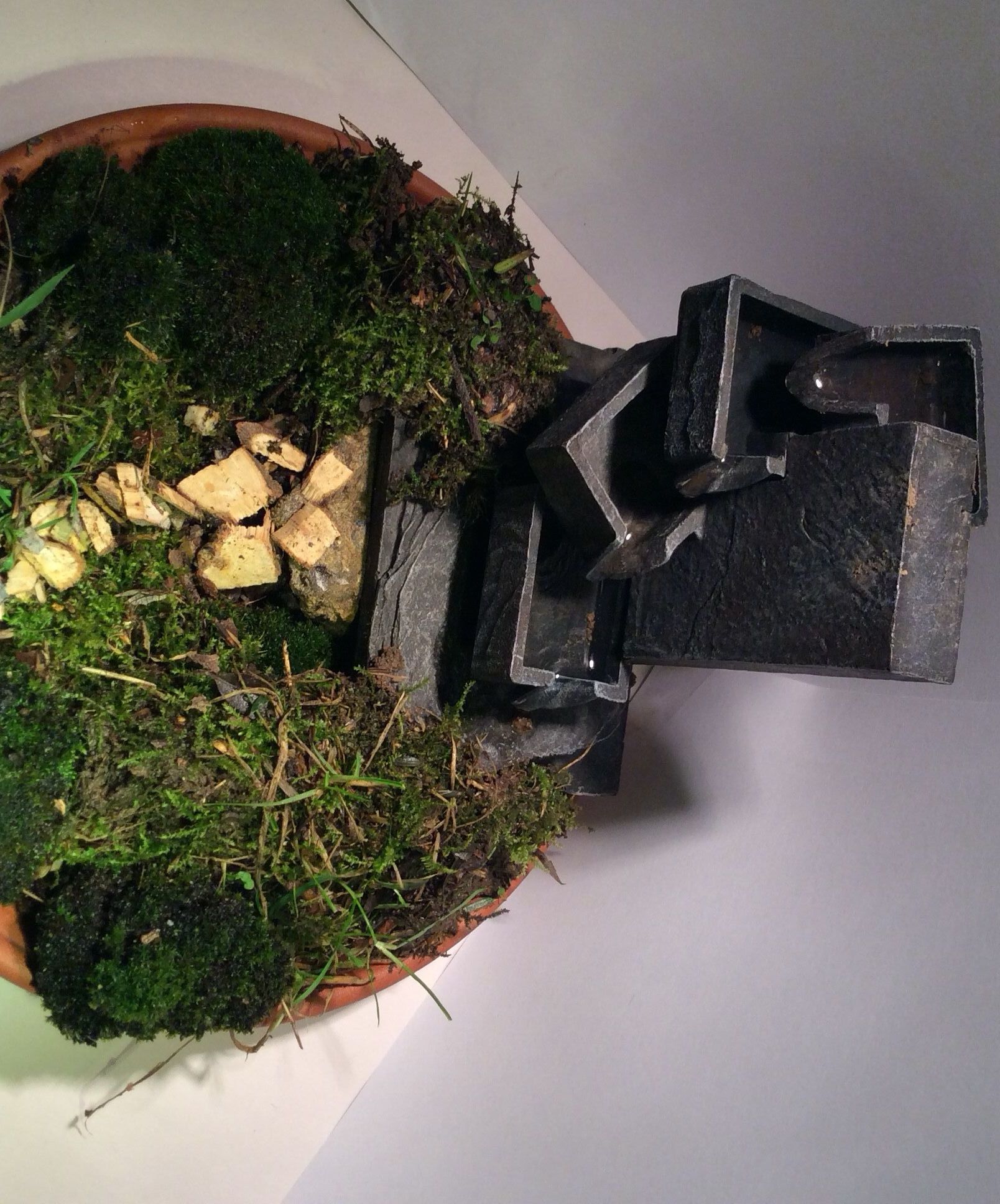 Miniature Garden on Your Desk.