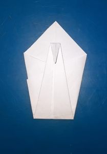 Fold the The Tip of the Thinner Portion, to Form the Neck of the Swan.