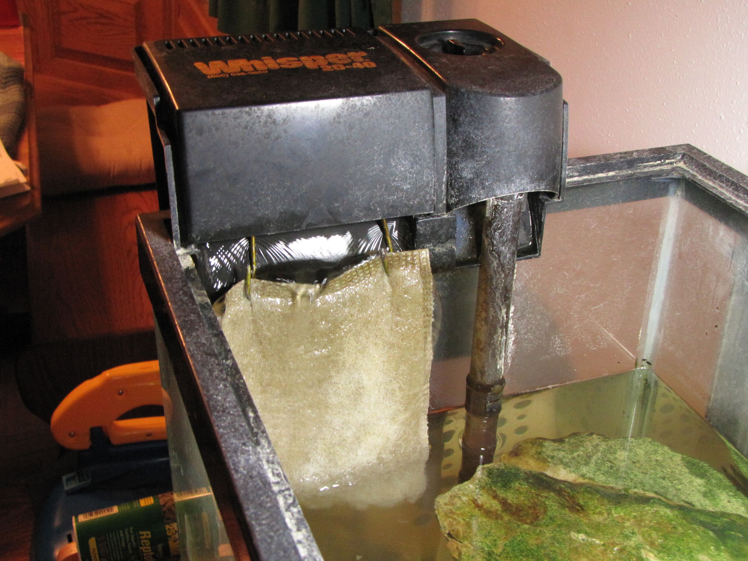 2 Easy Coat Hanger Fish Tank Hacks