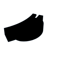 download {{ file.name }}