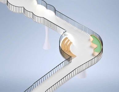 Features of the Bridge