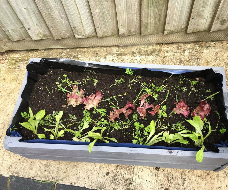 Planter From Pallet Timber