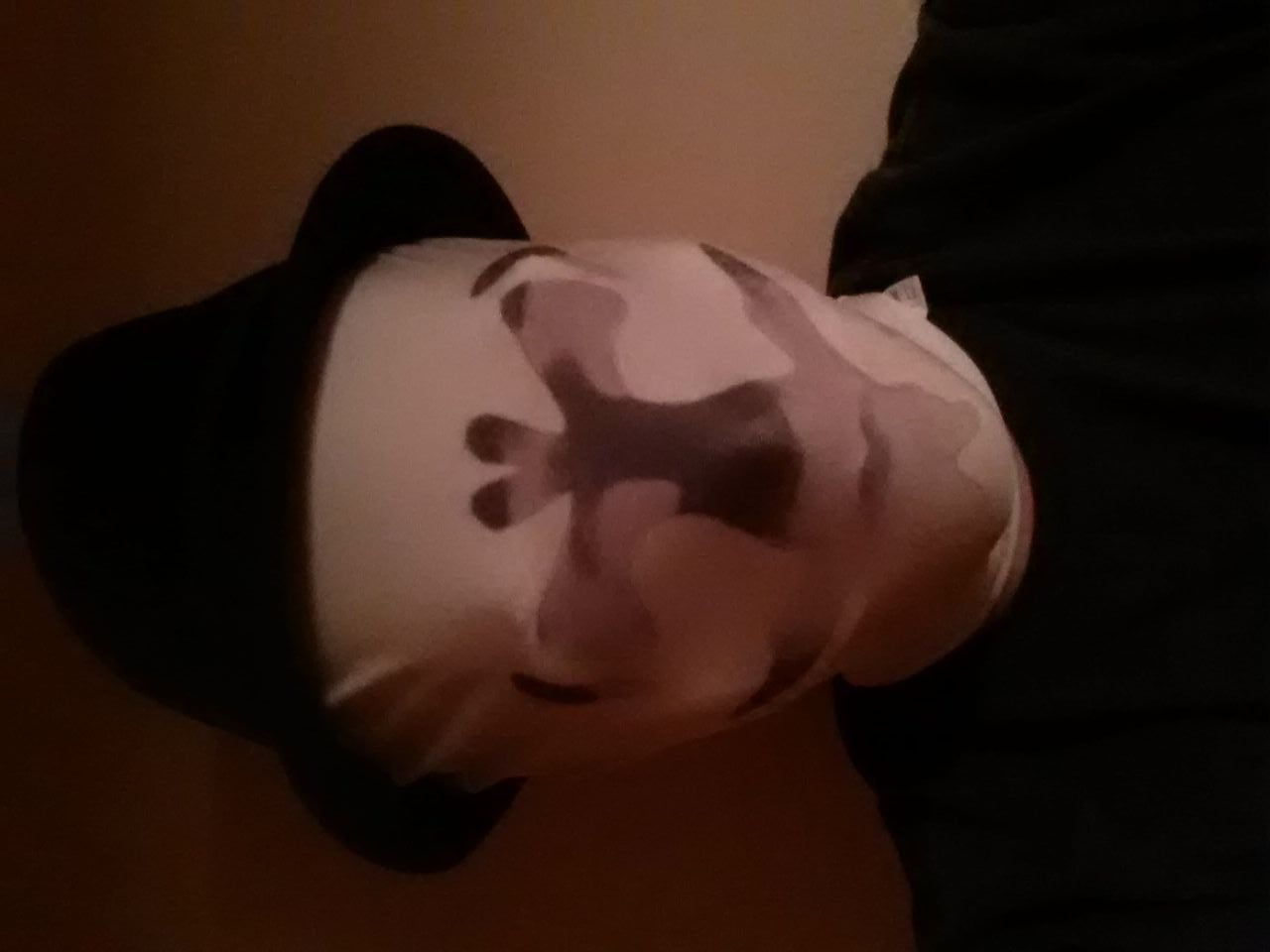 Rorschach Mask: Thermochromic Paint