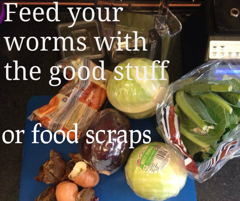Make Worm Food for Your Wormery 