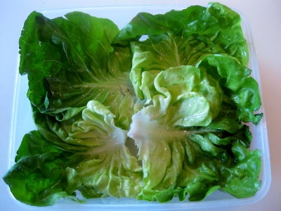 Angry Birds Bento Box