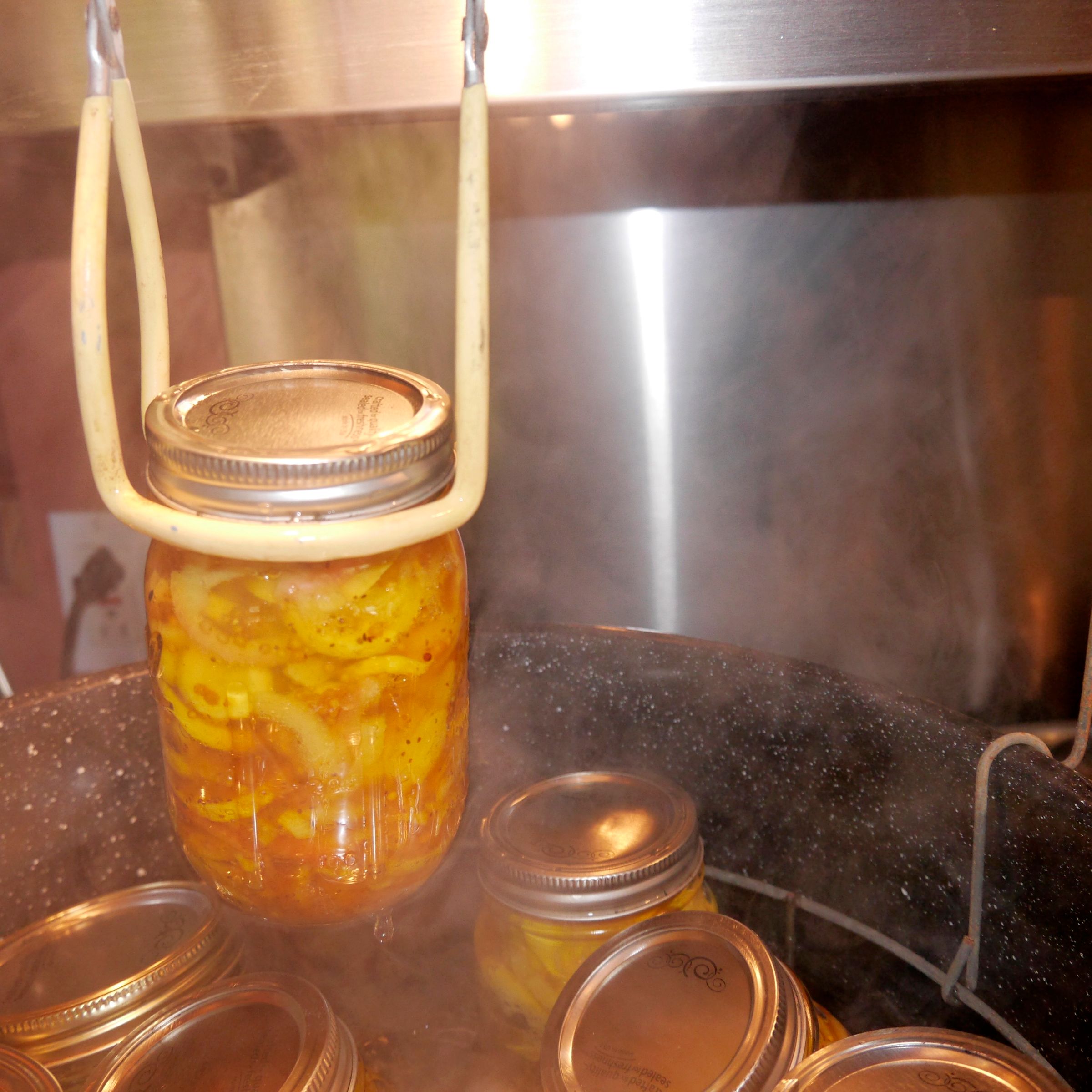 Bread and Butter Pickles From the Nitty Gritty Gardener 14 Steps