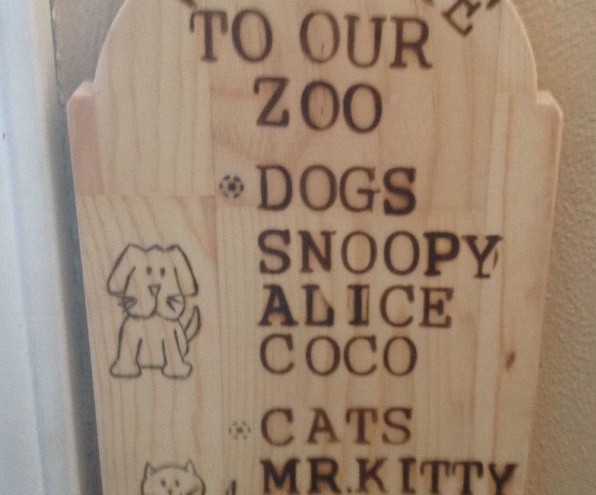 Wood Burning Project