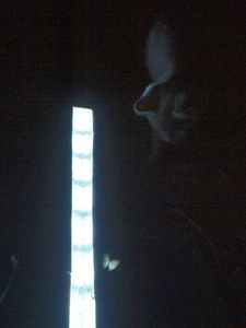 An Awesome LED PVC Pipe Light : 9 Steps (with Pictures) - Instructables