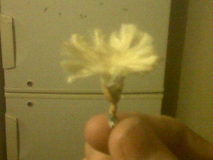 Make a Flower From a Cigarette