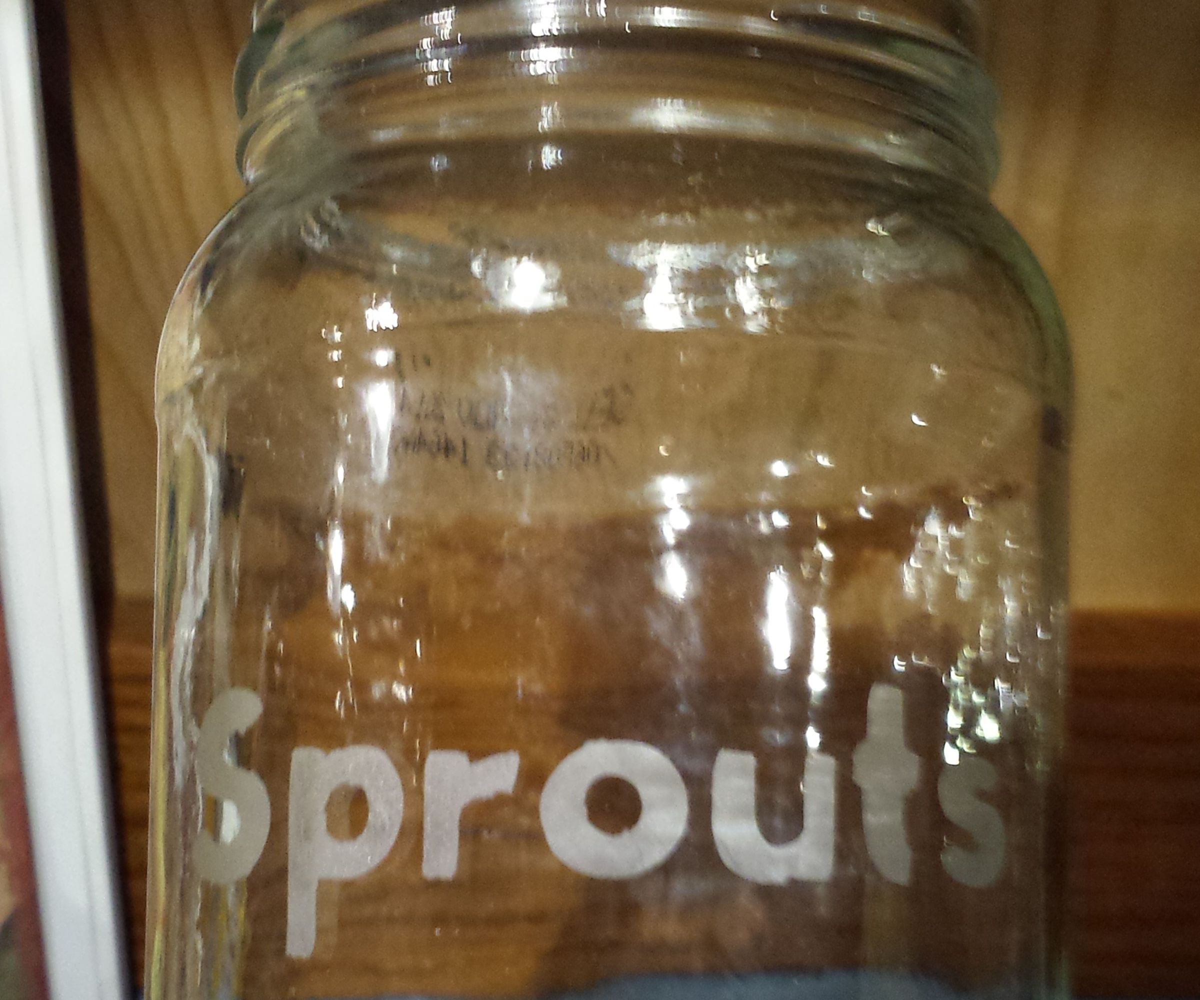 Etched Glass Jar for Growing Sprouts