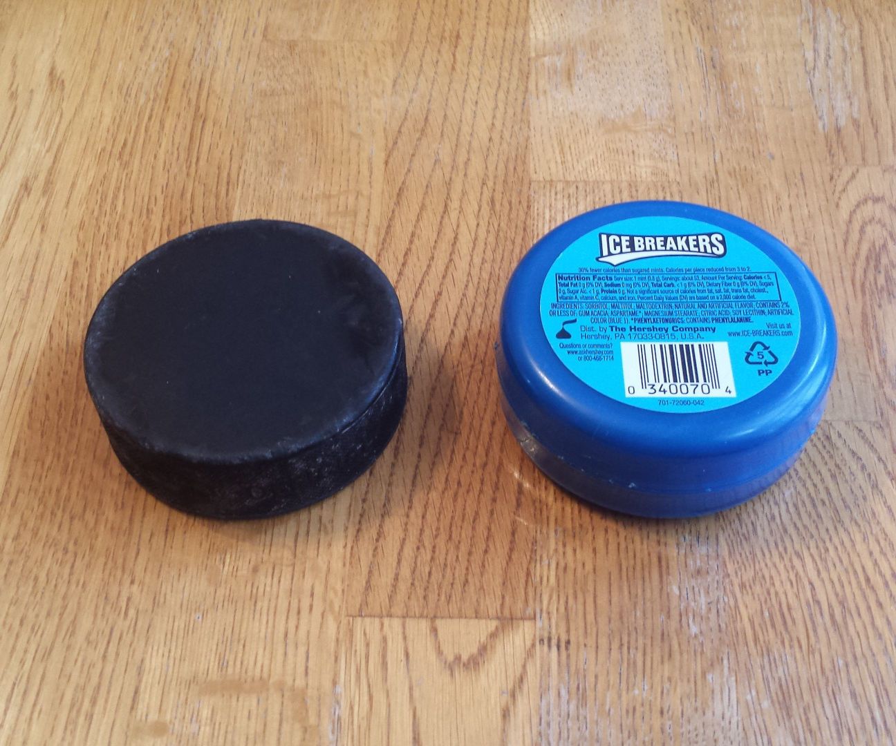 Icebreakers Dryland Hockey Puck