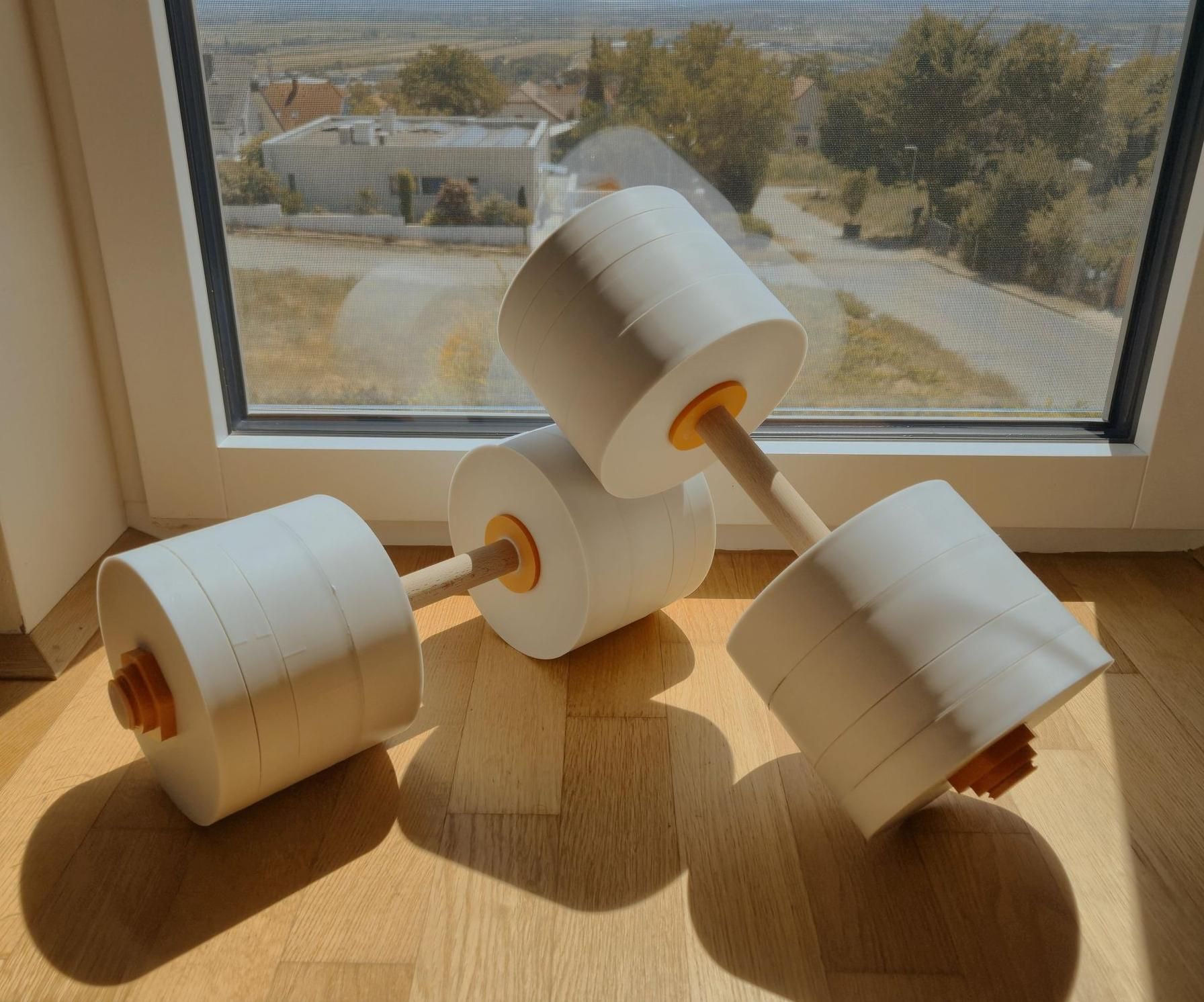 Adjustable Concrete Dumbbells