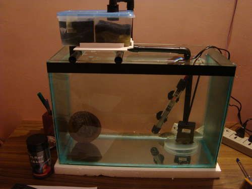 Diy Sump Filter for Aquariums