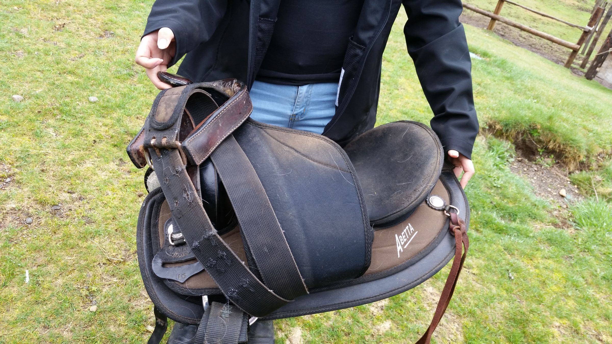 Saddle a Western Horse 4 Steps Instructables