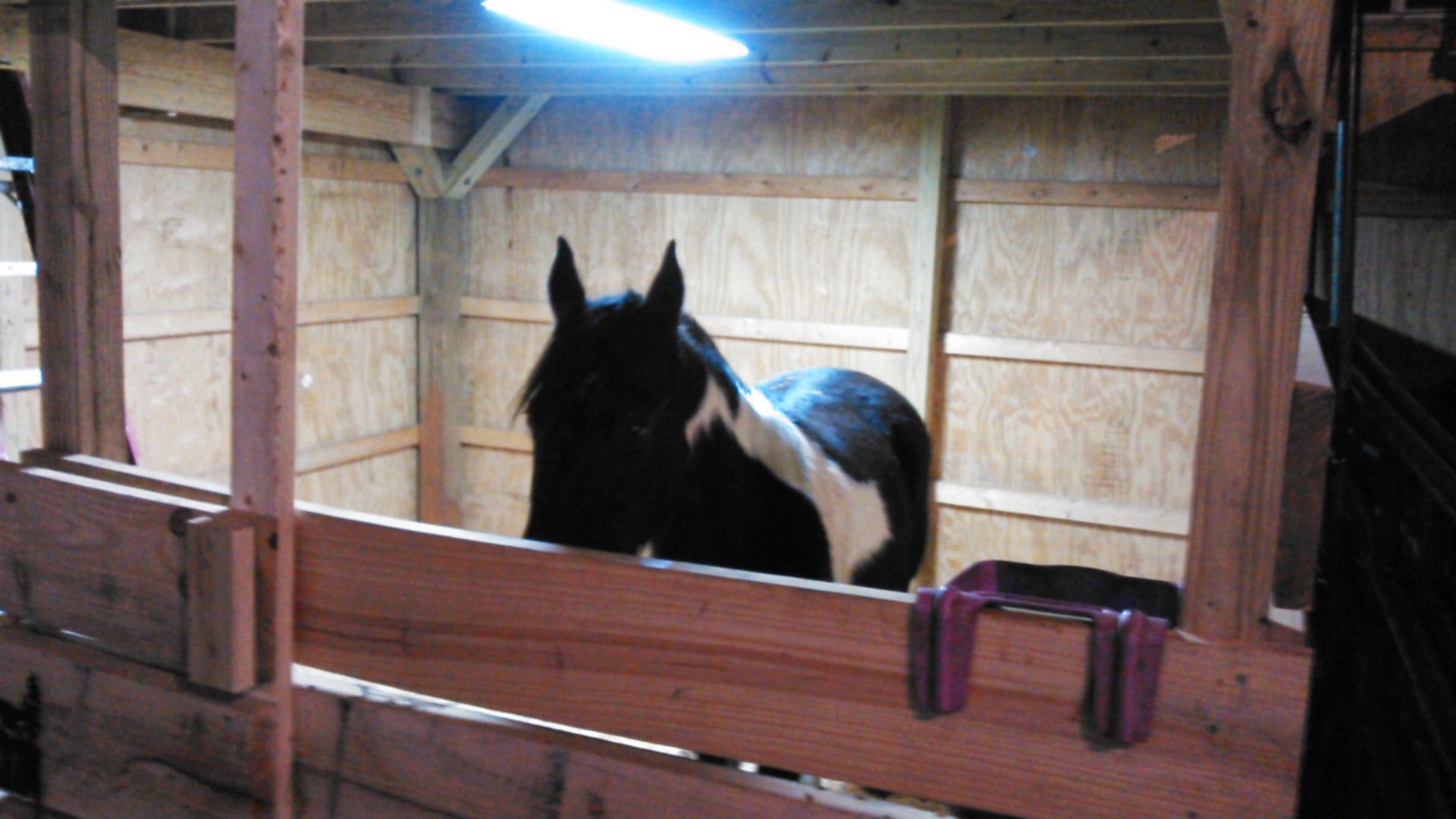 LED Horse Stall Light 8 Steps (with Pictures) Instructables