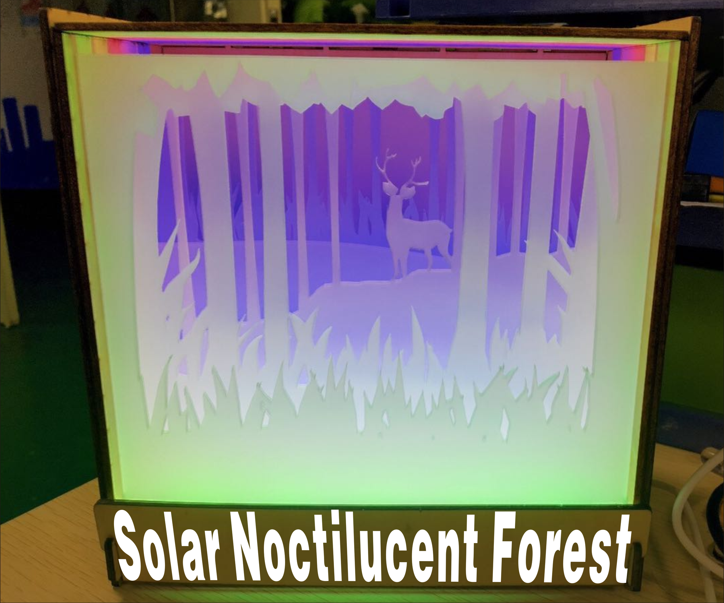 Make a Solar Noctilucent Forest