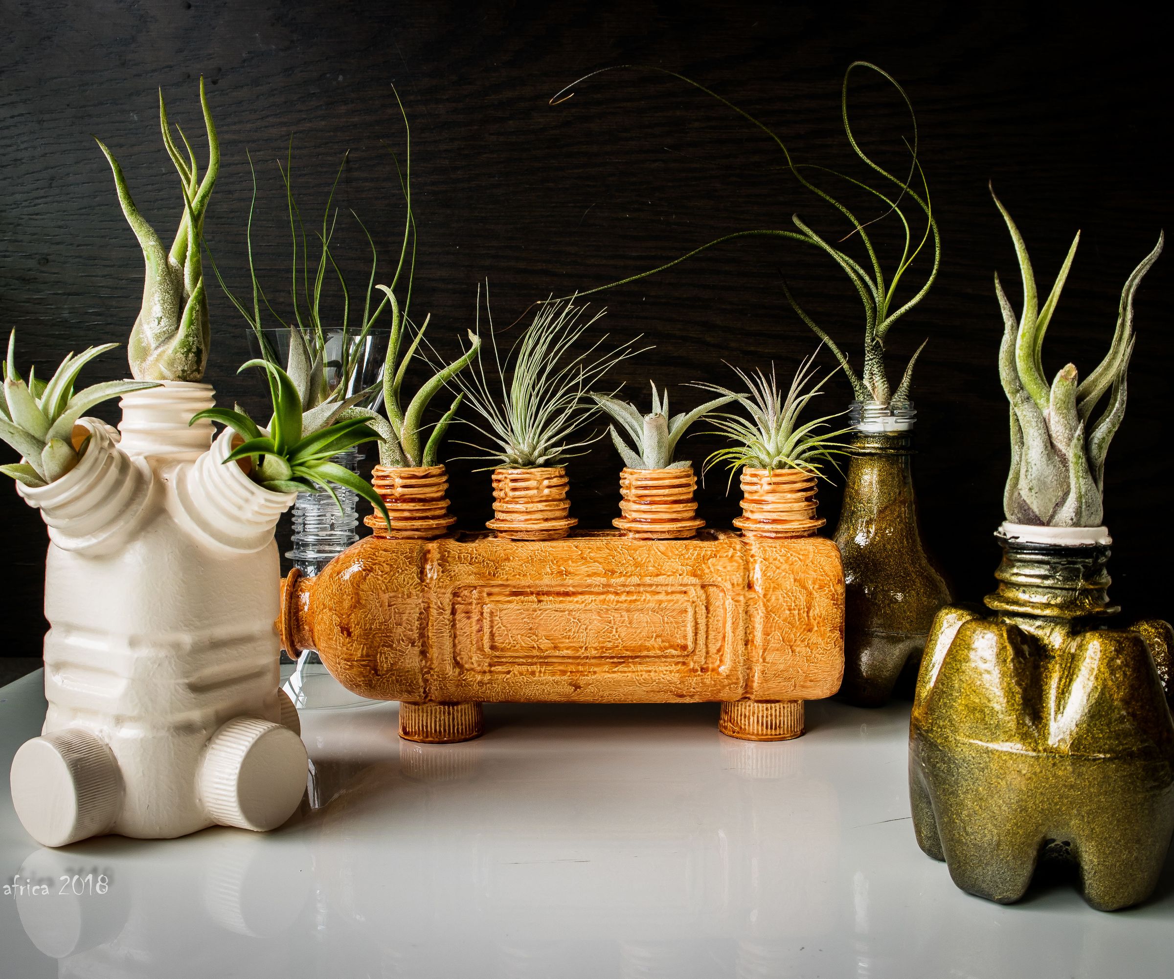 PET Bottle Planters 