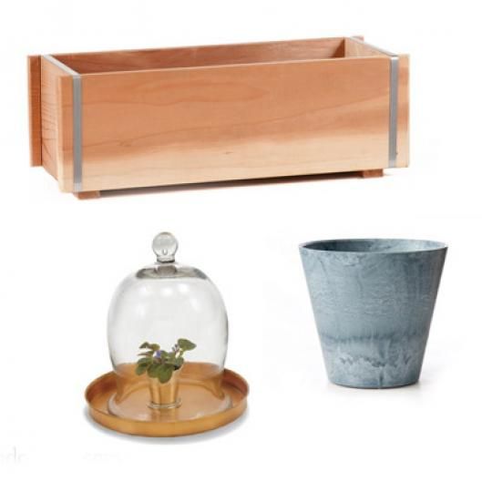 Make Container Gardening You Stepping Stone Towards a Beautiful Home