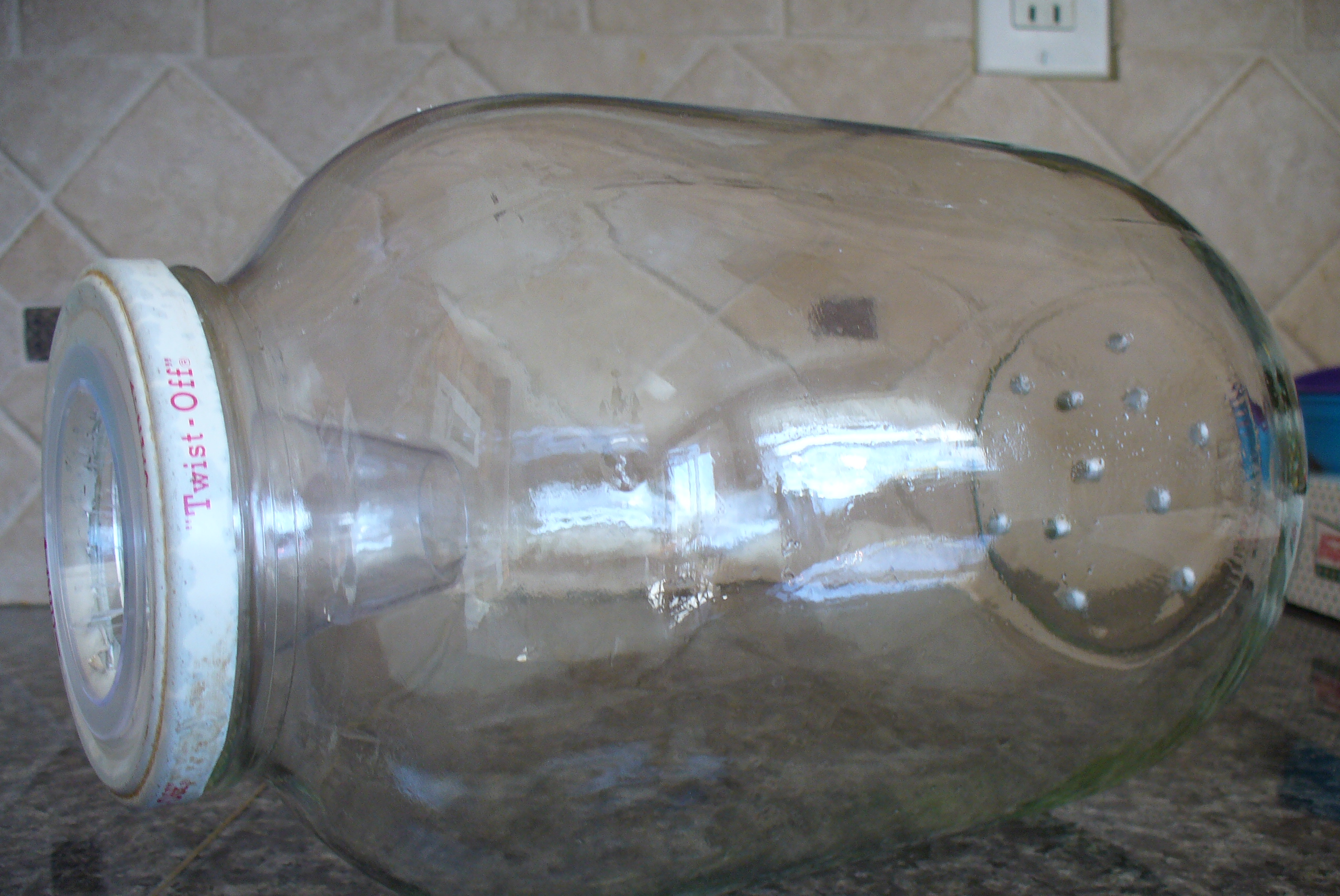 Pickle Jar Minnow Trap