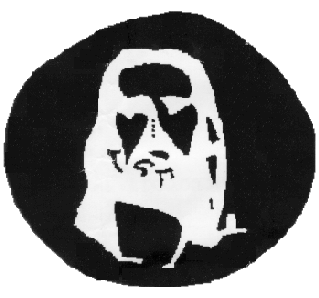Jesus Optical Illusion