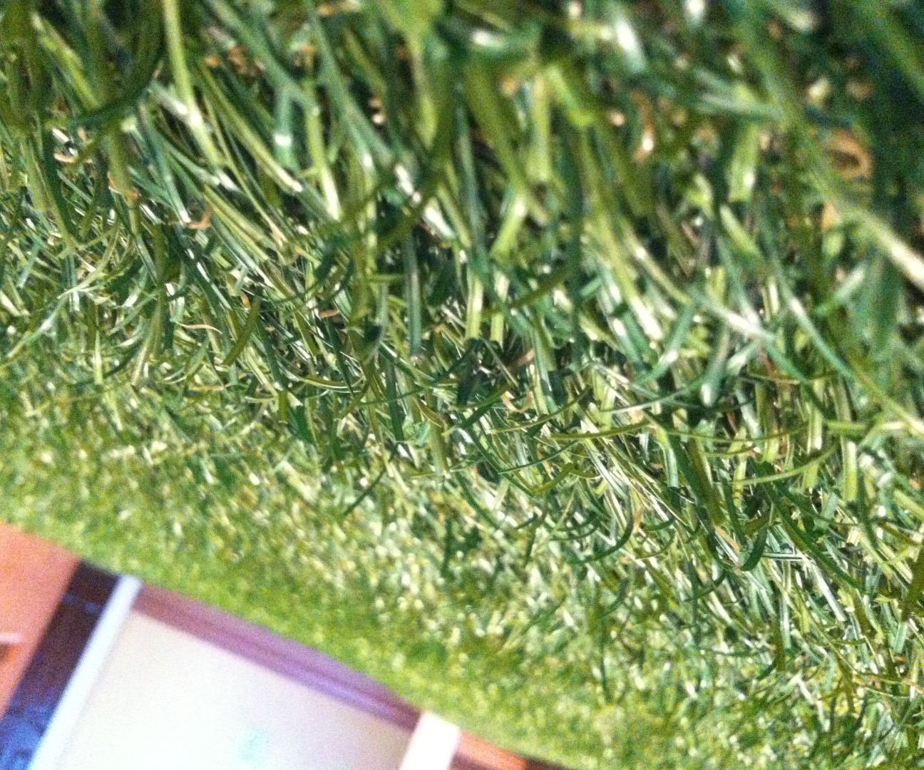 Bringing the Outside in With Artificial Grass
