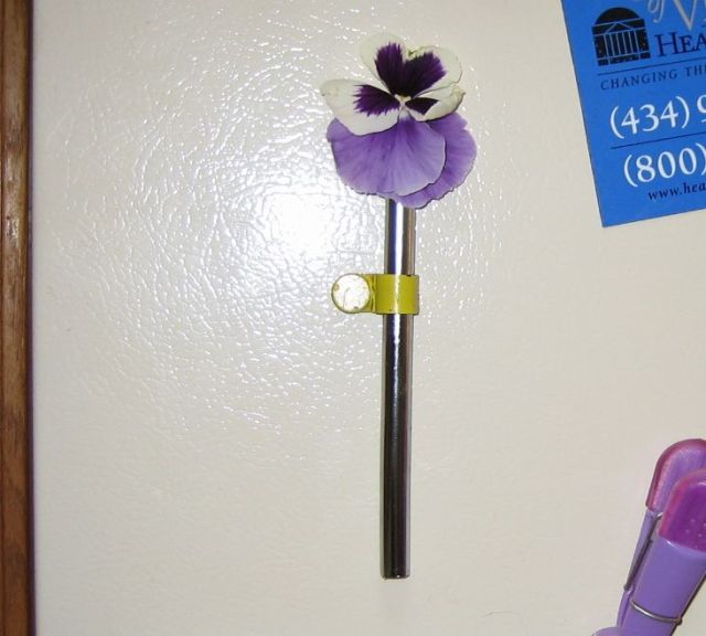 Making a Fridge Magnet Flower Vase
