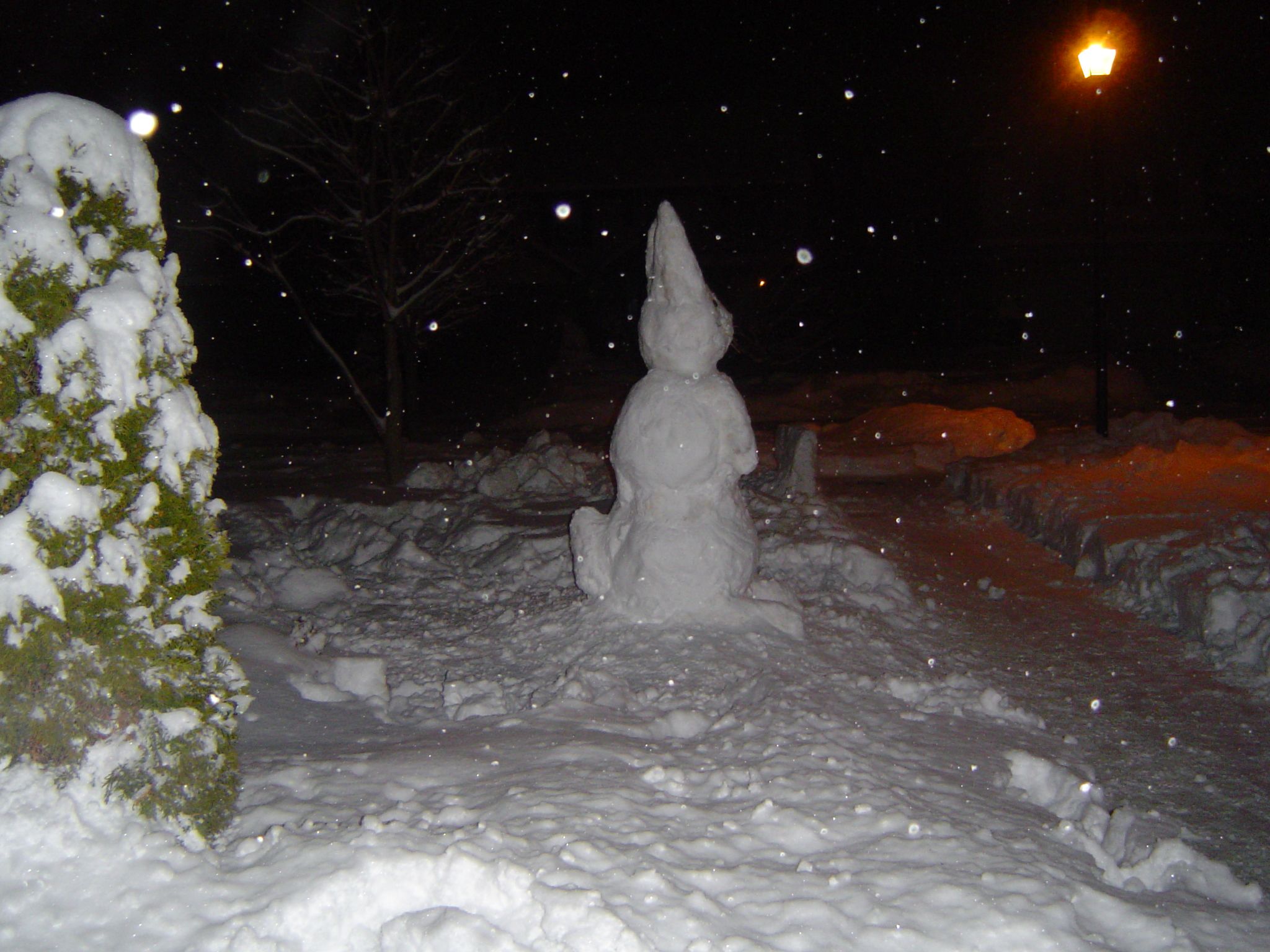 Snow Rabbit!