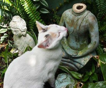 How to Fix a Broken Garden Buddha