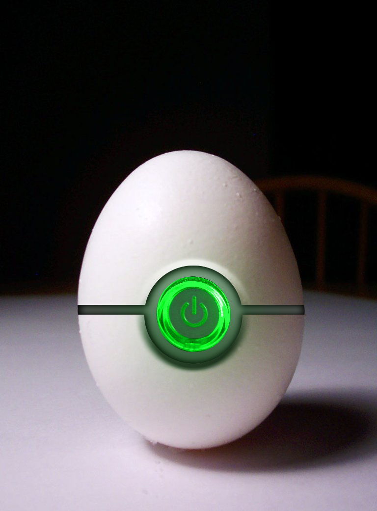 How to Create a Bionic Egg