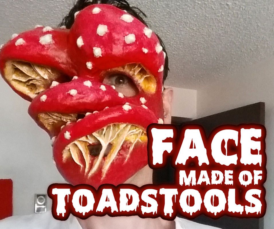 Face Made of Toadstools (Paper Mache Mask)