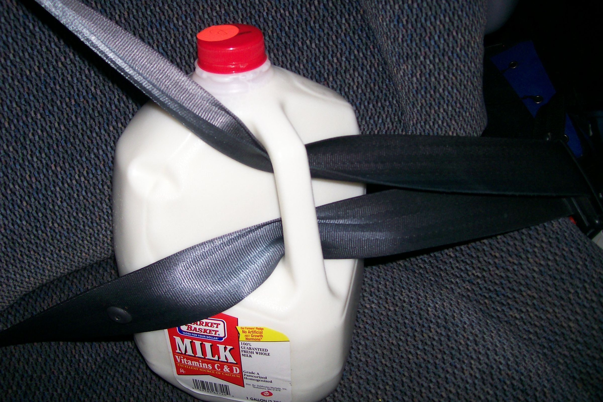 Milk Safety Belt