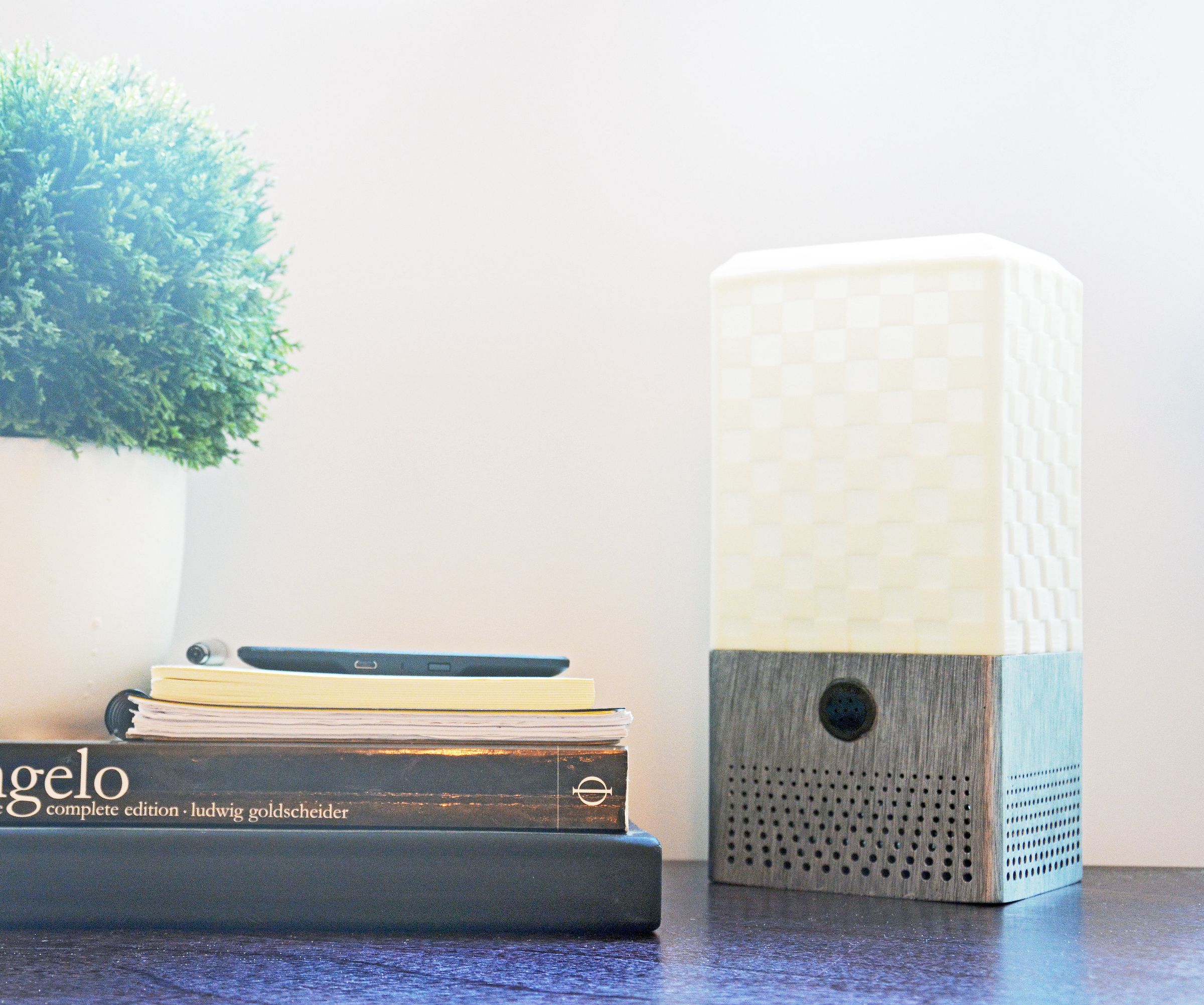 Smart Assistant Speaker + Lamp (3D Printed DIY Google Home / Amazon Alexa)