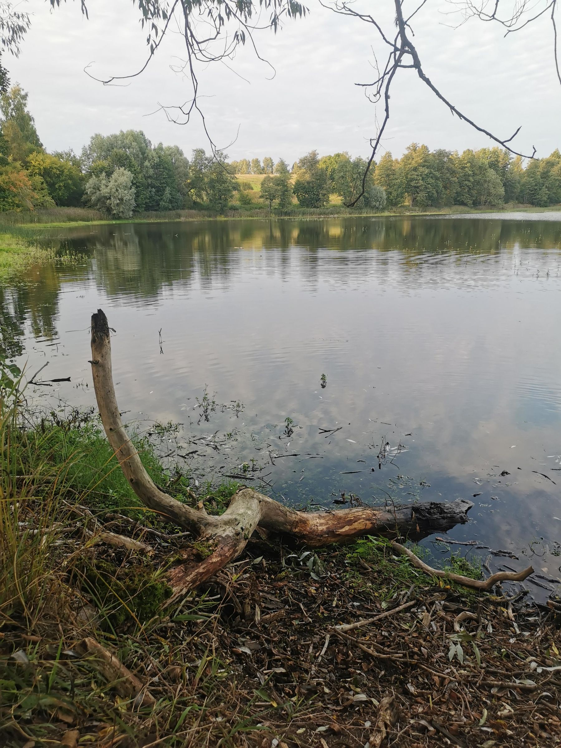 how to create a vivarium