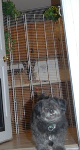 Full Length Kennel to Ceiling