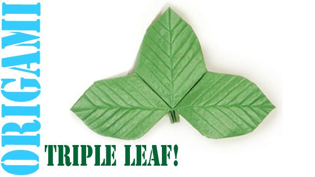 How to Make an Origami Triple Leaf for Roses & Flowers!