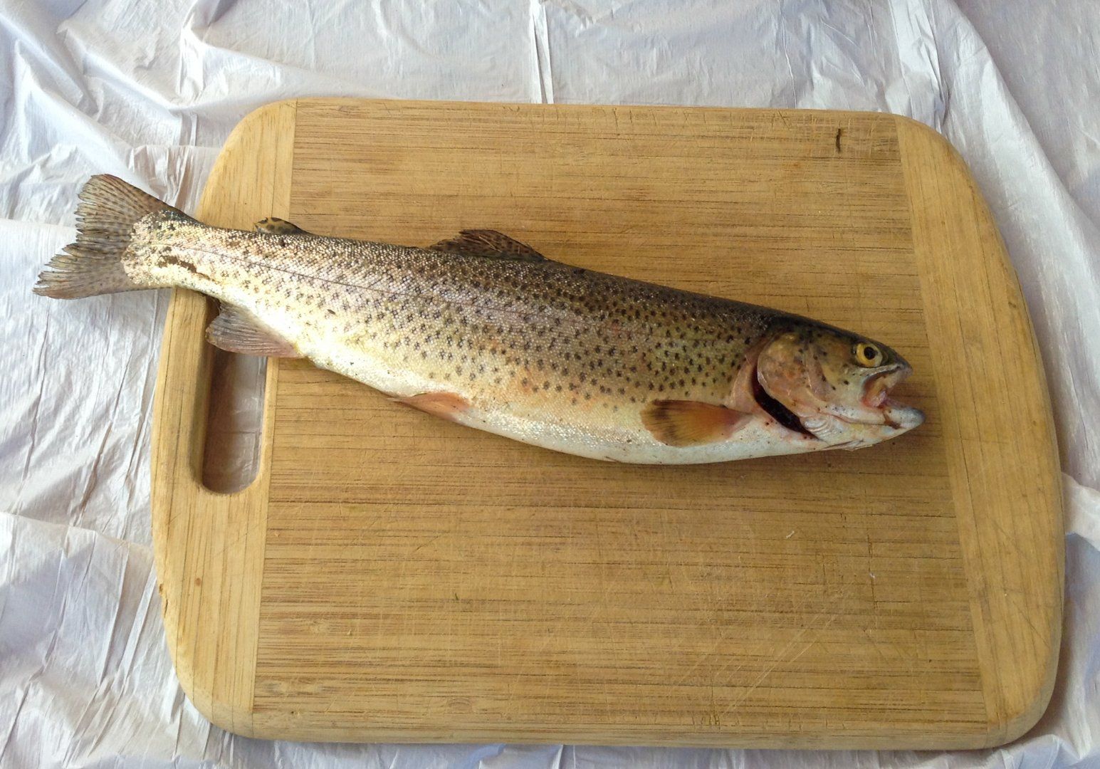 How to Grill Trout 4 Steps Instructables