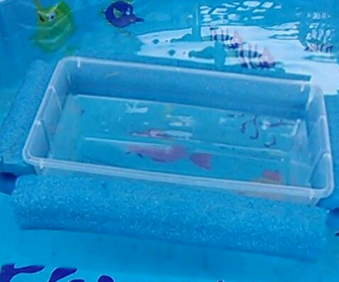 21 Unusual Uses for Pool Noodles
