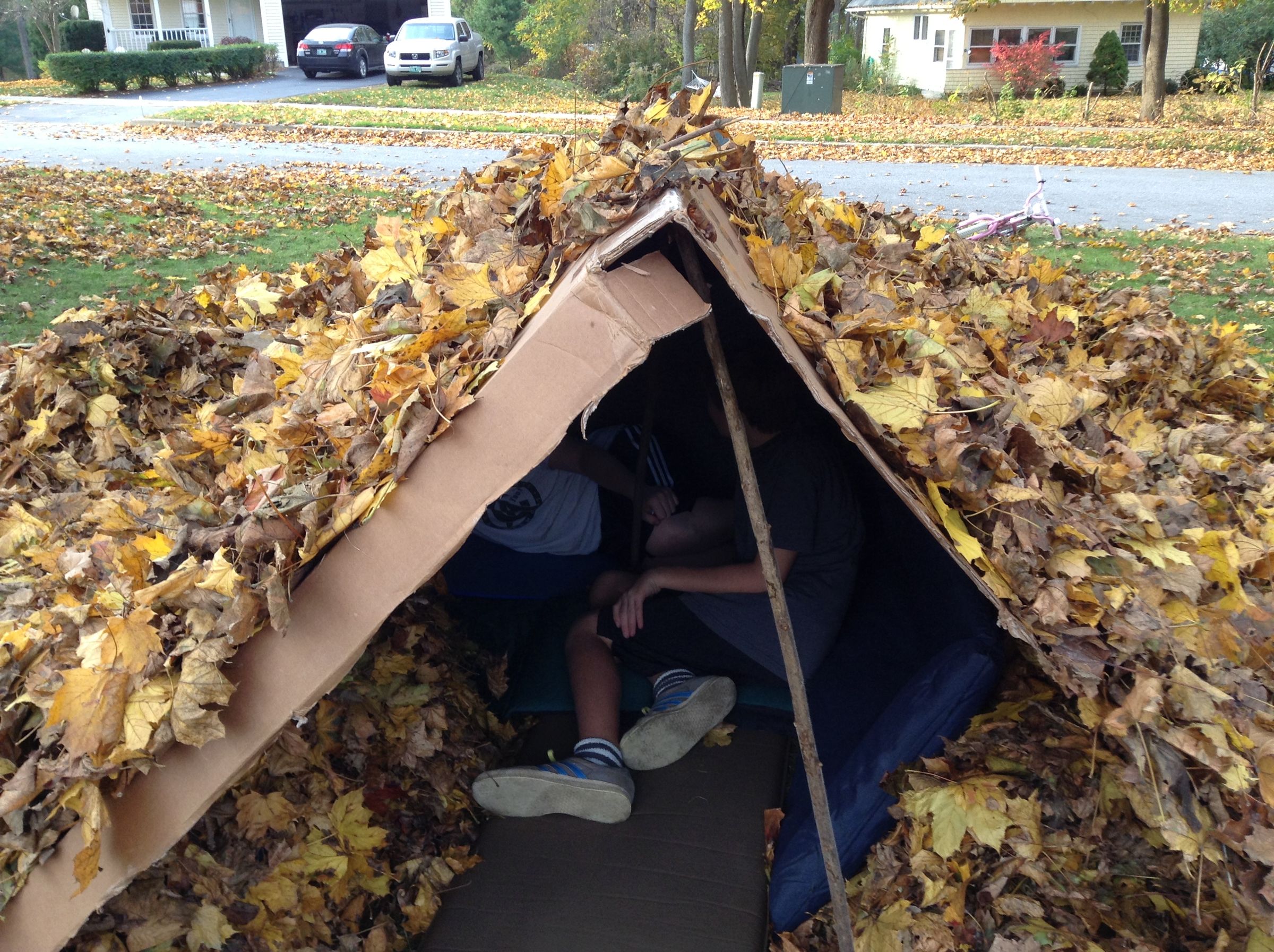 Building a Leaf House