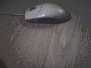 Best Prank Ever!!!