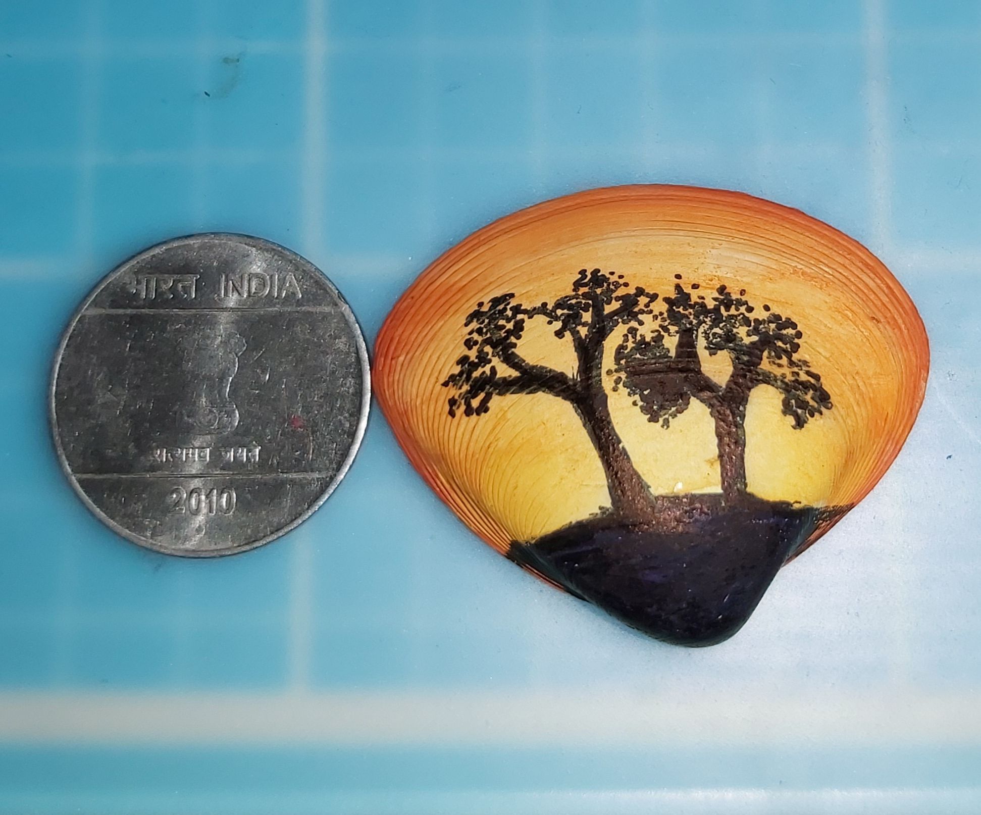 Miniature Calcide Shell Painting🎨🐚