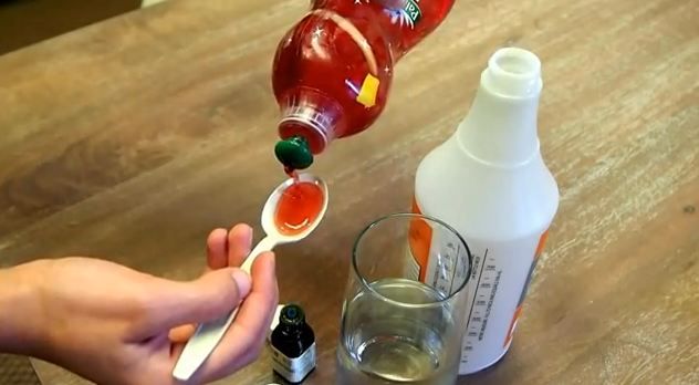 How to Make Spider Repellent