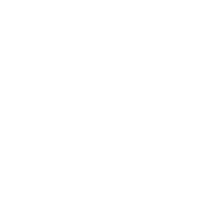 download {{ file.name }}