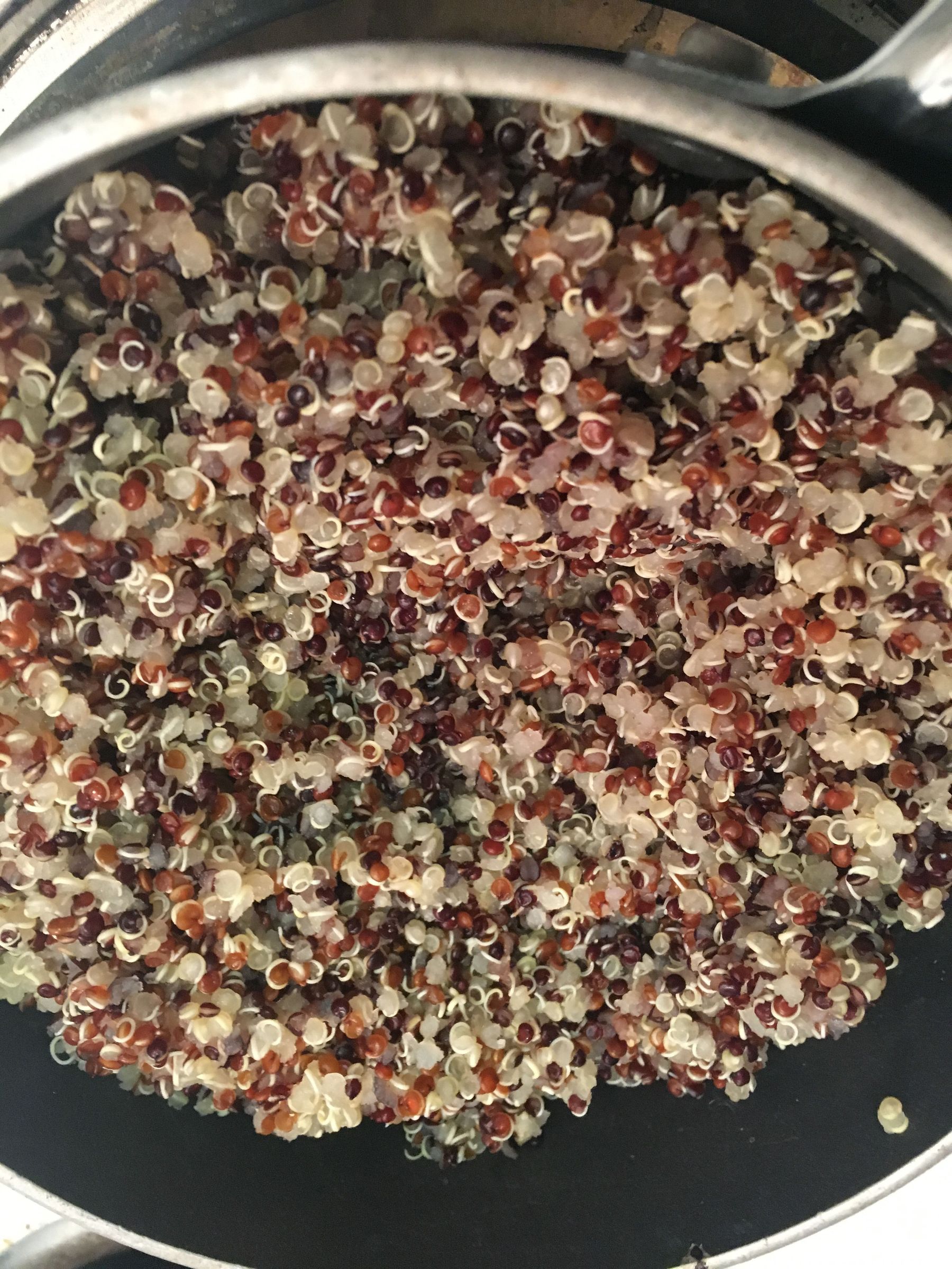 Quinoa Jalapeno Poppers 6 Steps (with Pictures) Instructables