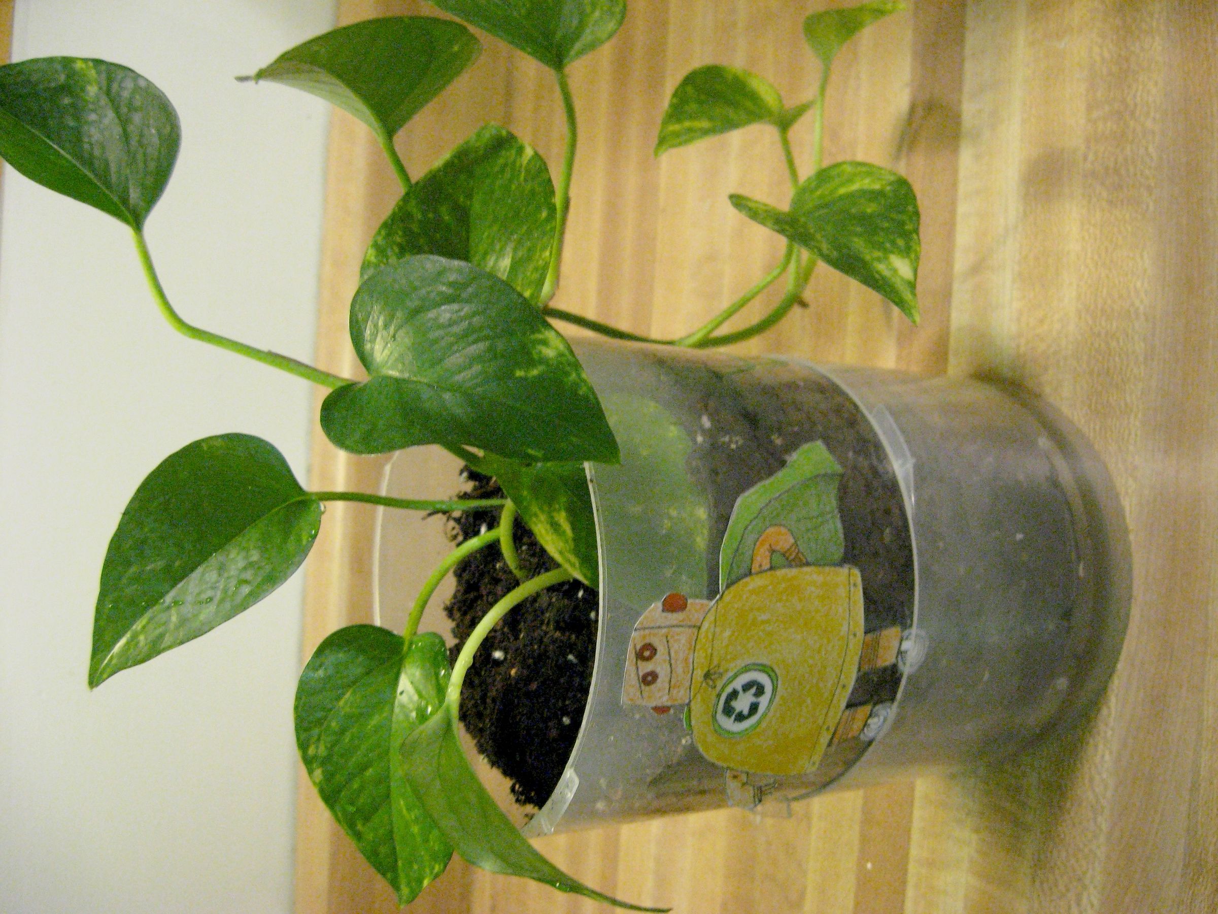Convert old CD packaging into a flower pot