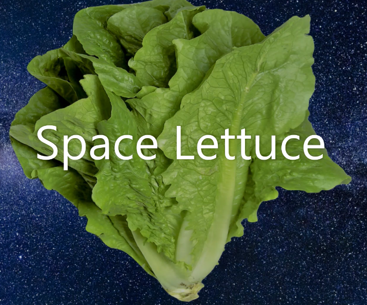 Space Lettuce Chamber Instructable- Airline High School Robotics