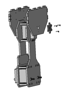Torso
