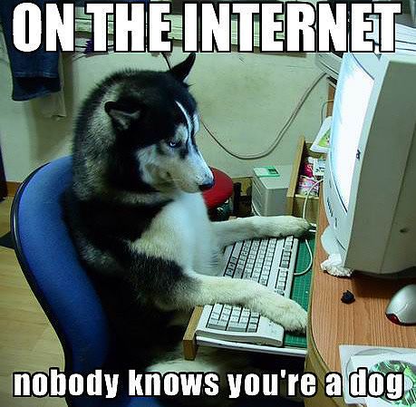 your dog