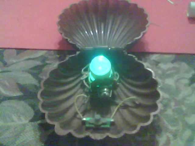 Bronzed Seashell With Build-in Flasher.