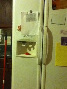 Put in Freezer