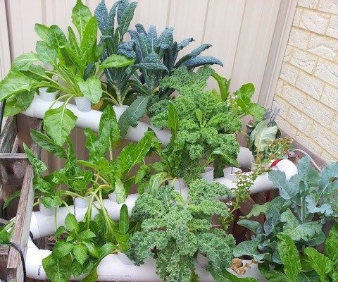 PVC Hydroponics Unit